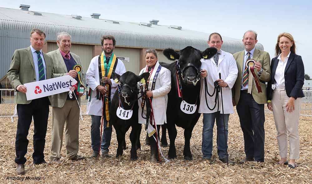 Rodmead Bonnie Lass at Devon County Show 2019